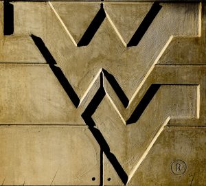 Delta Chi fraternity placed on suspension after hazing allegations